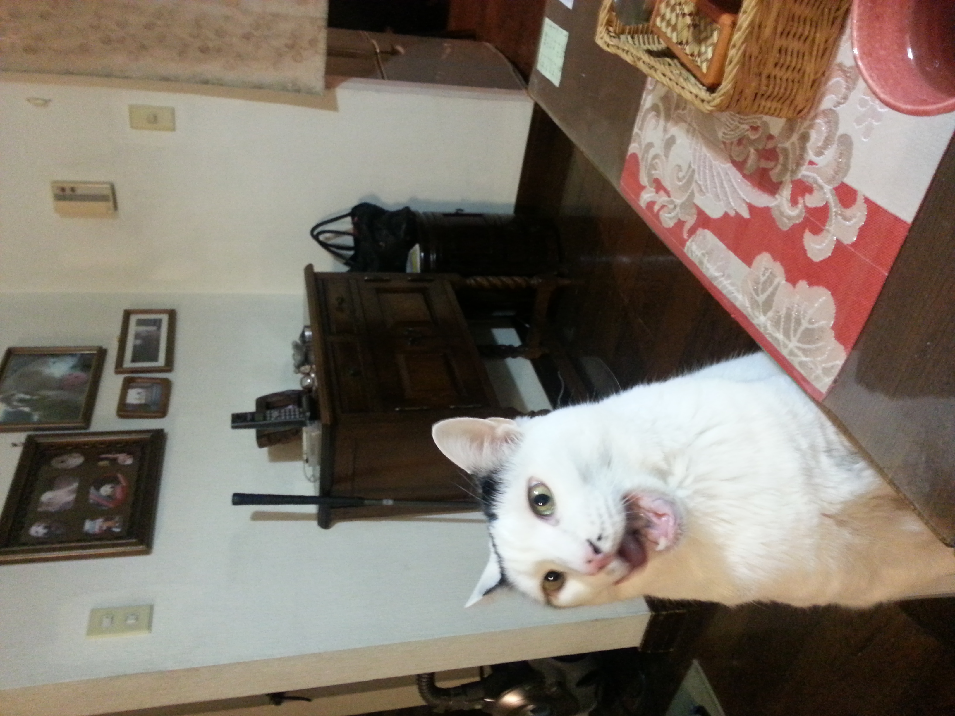 20150213_213313kii.jpg