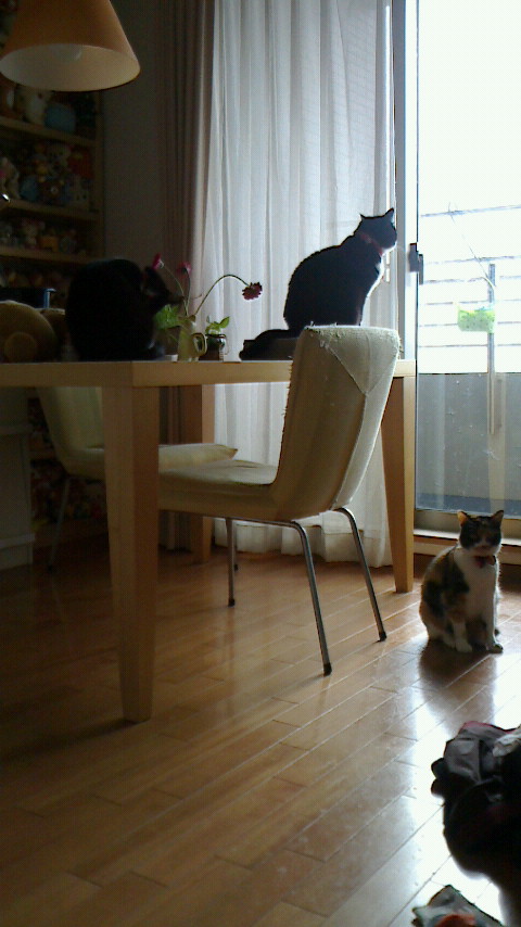 2015021512370000.jpg
