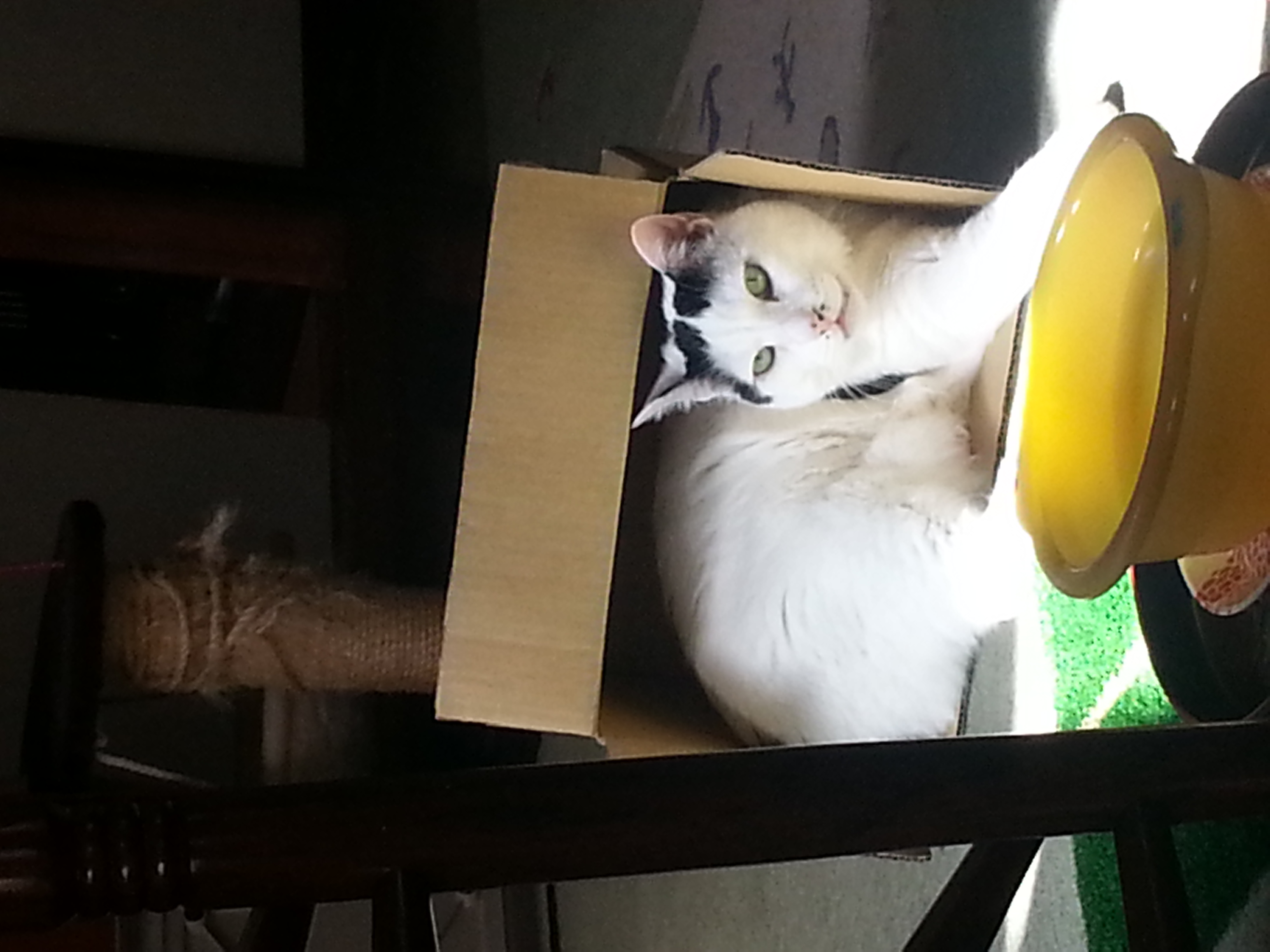 20150322_133750.jpg