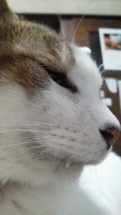 2015040920080000.jpg