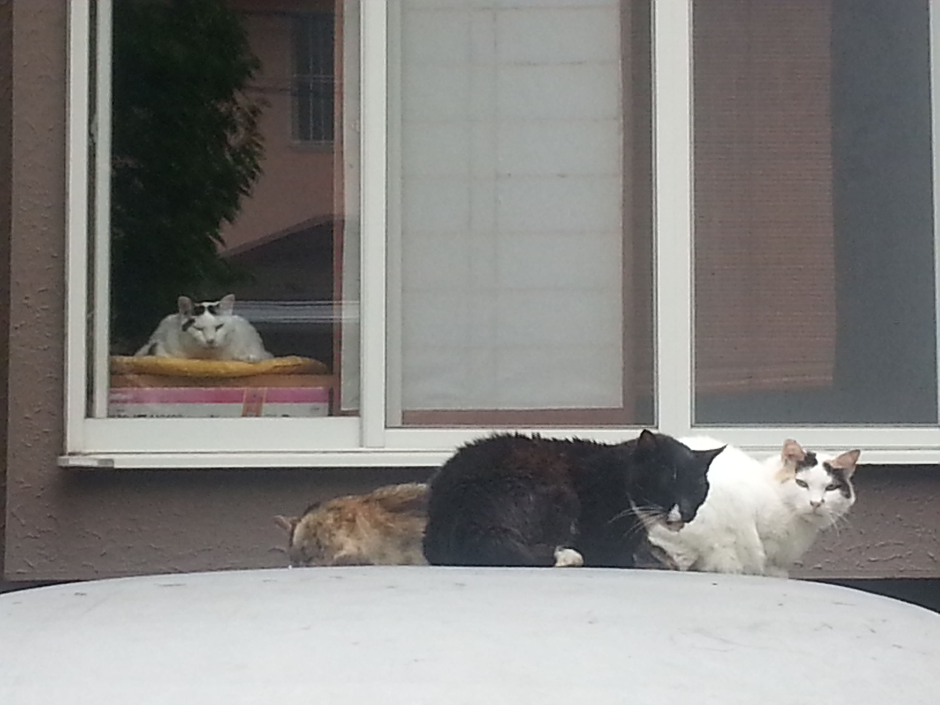20150629_071421.jpg