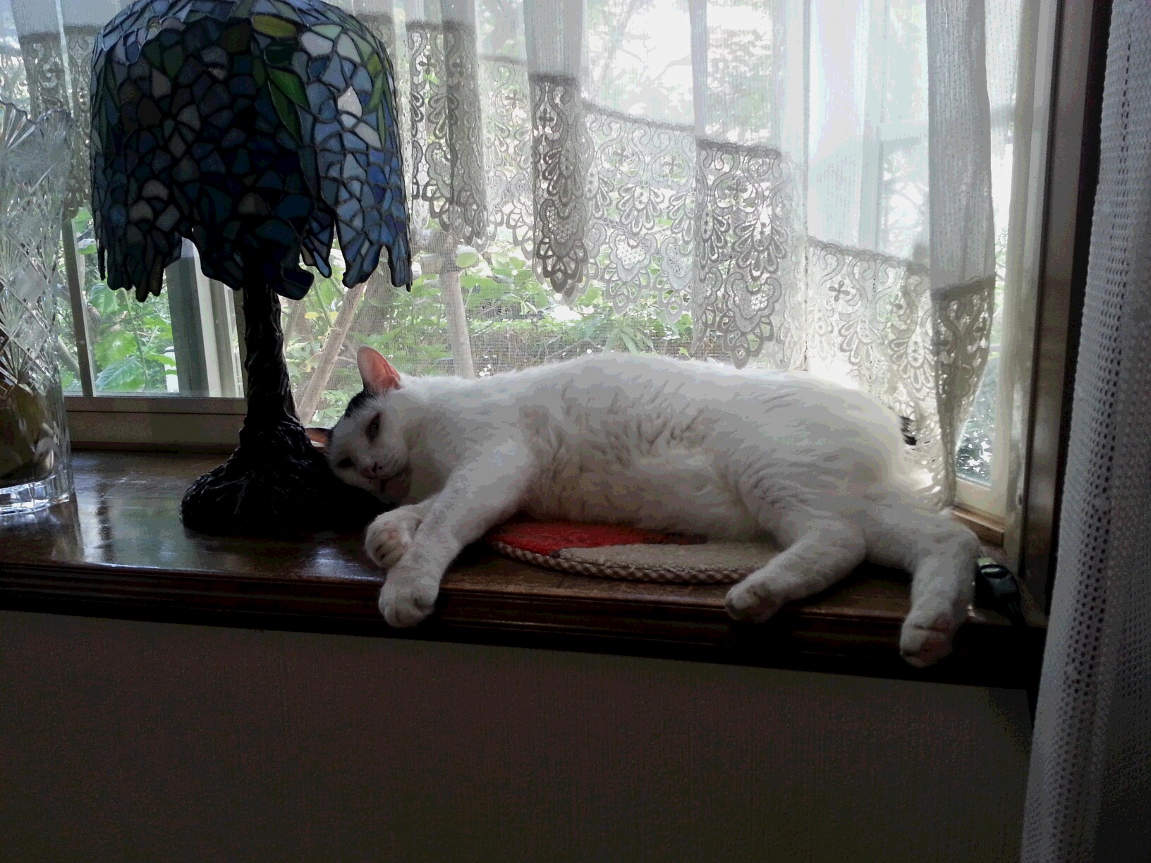 20150712_174911.jpg