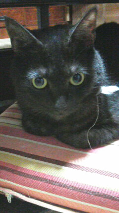 2015082519280000.jpg