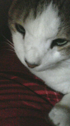 2015082519290000.jpg