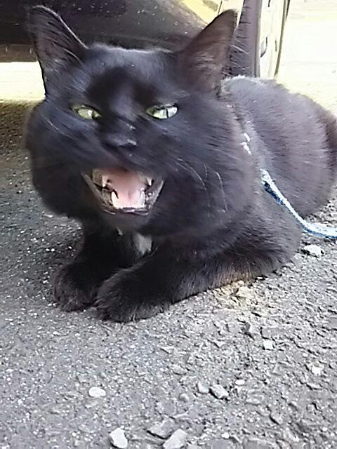 20150903_100345.jpg