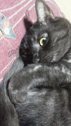 2015091019510000.jpg
