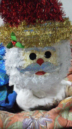 2015122000280002.jpg