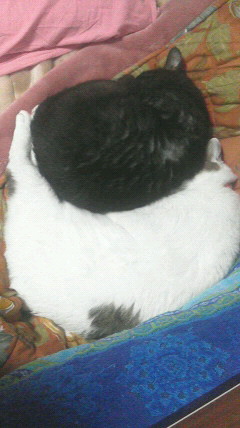 2016010318400000.jpg