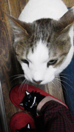 2016020419190000.jpg