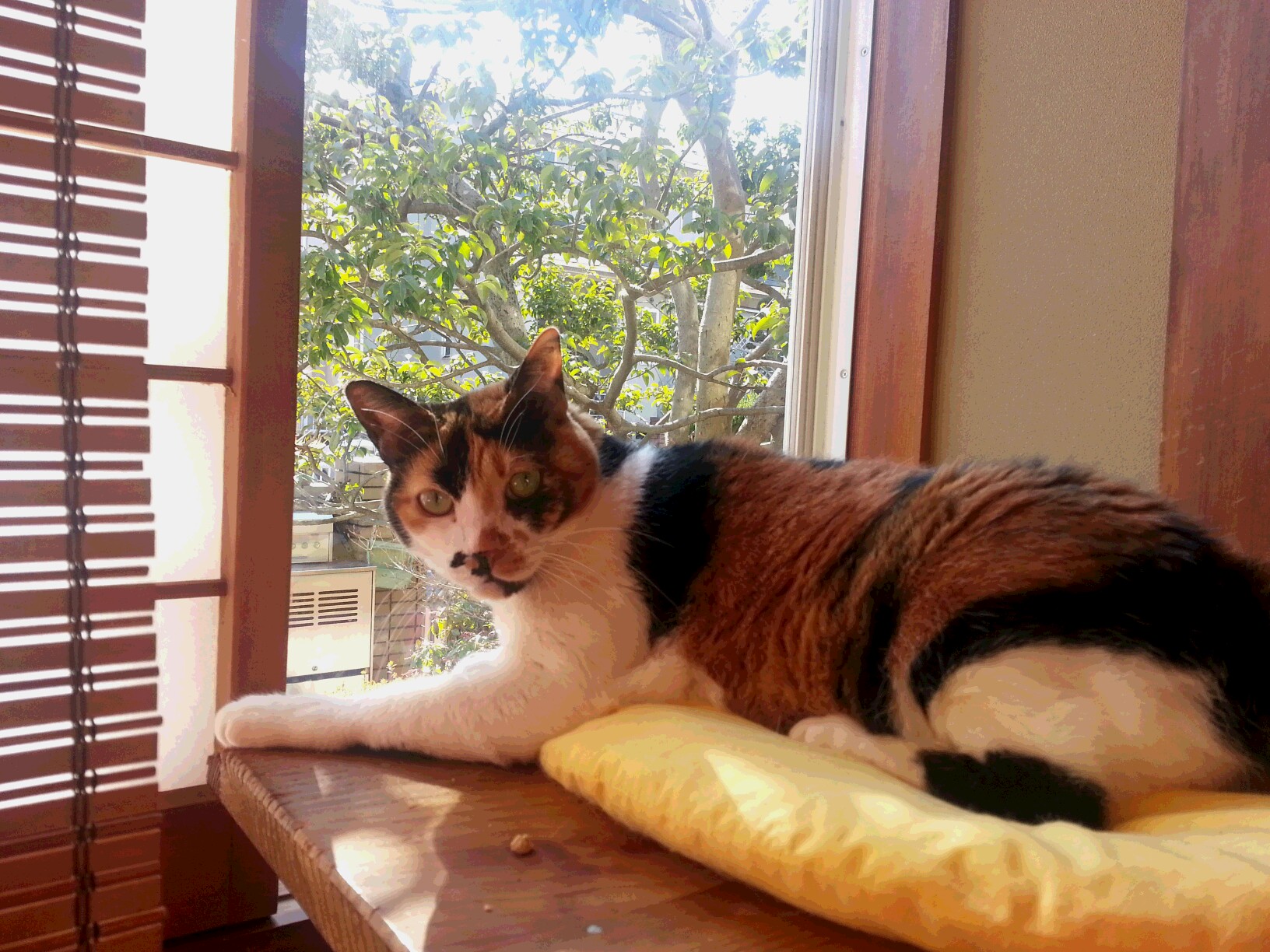 20160211_132025.jpg