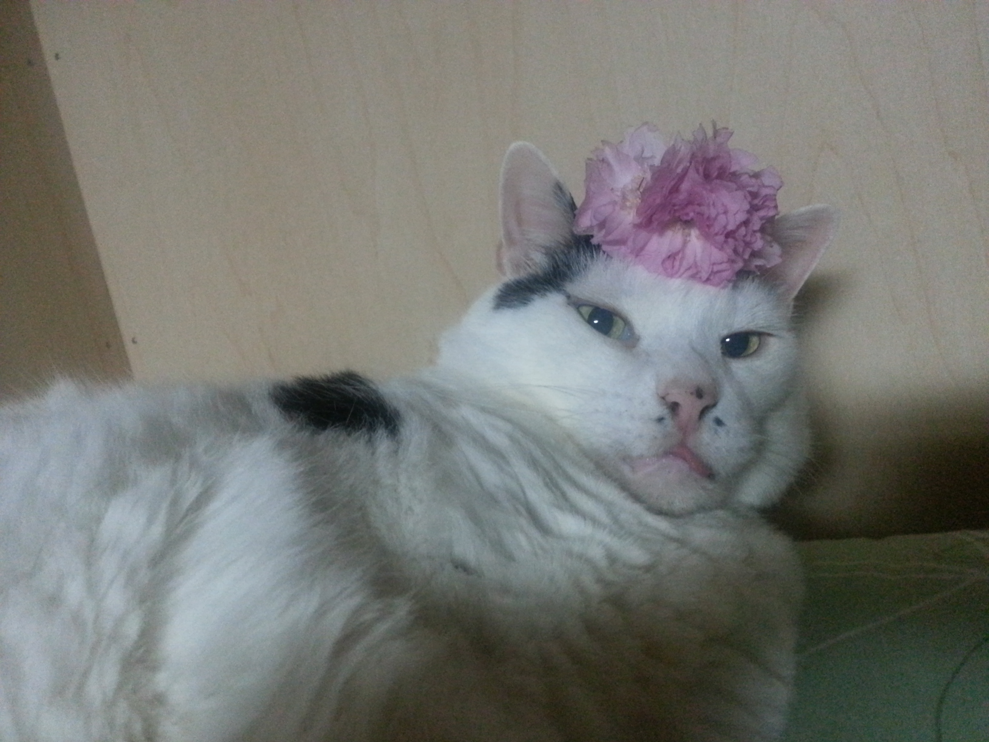 20160417_200940.jpg