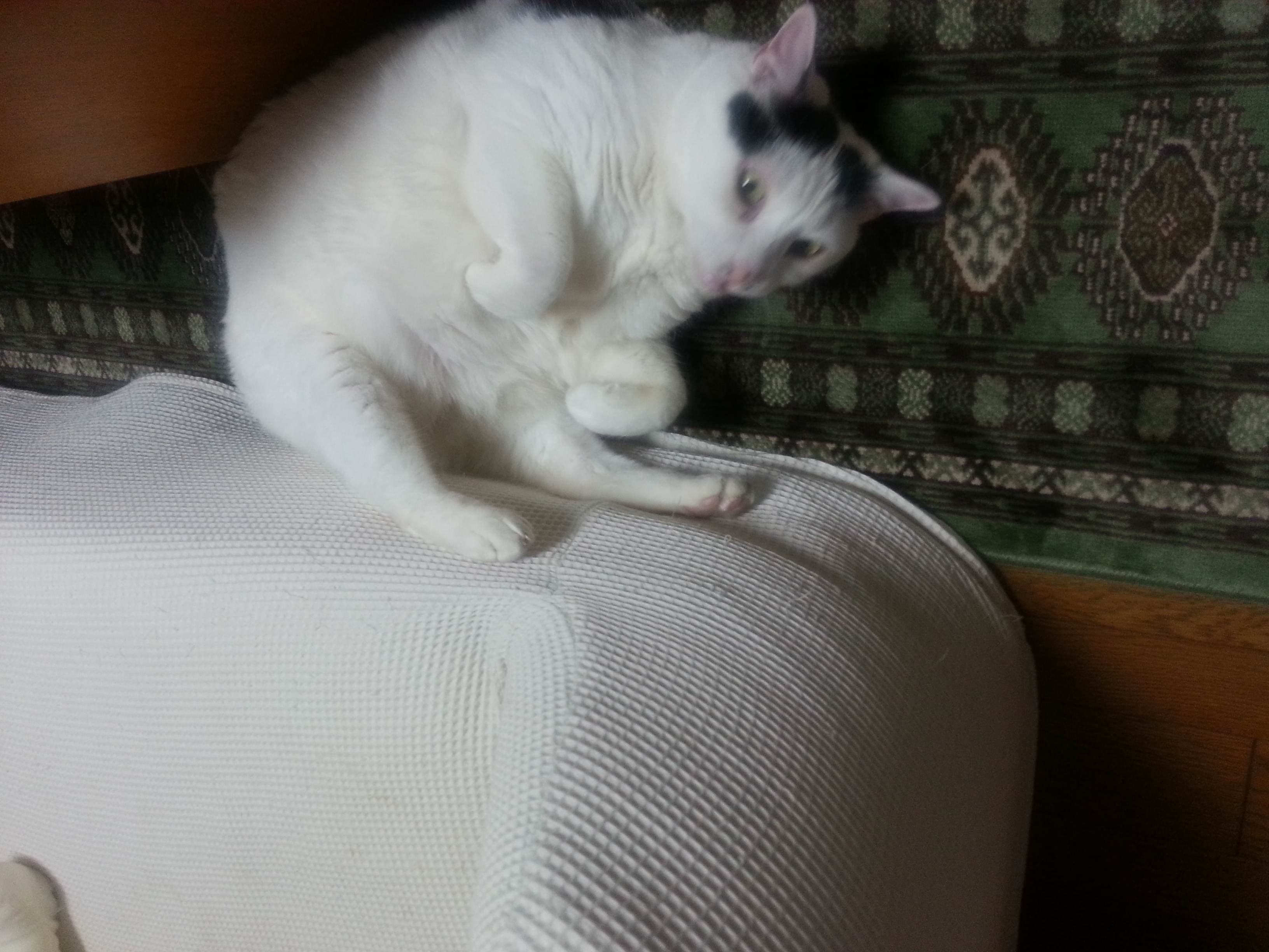 20160518_232442.jpg