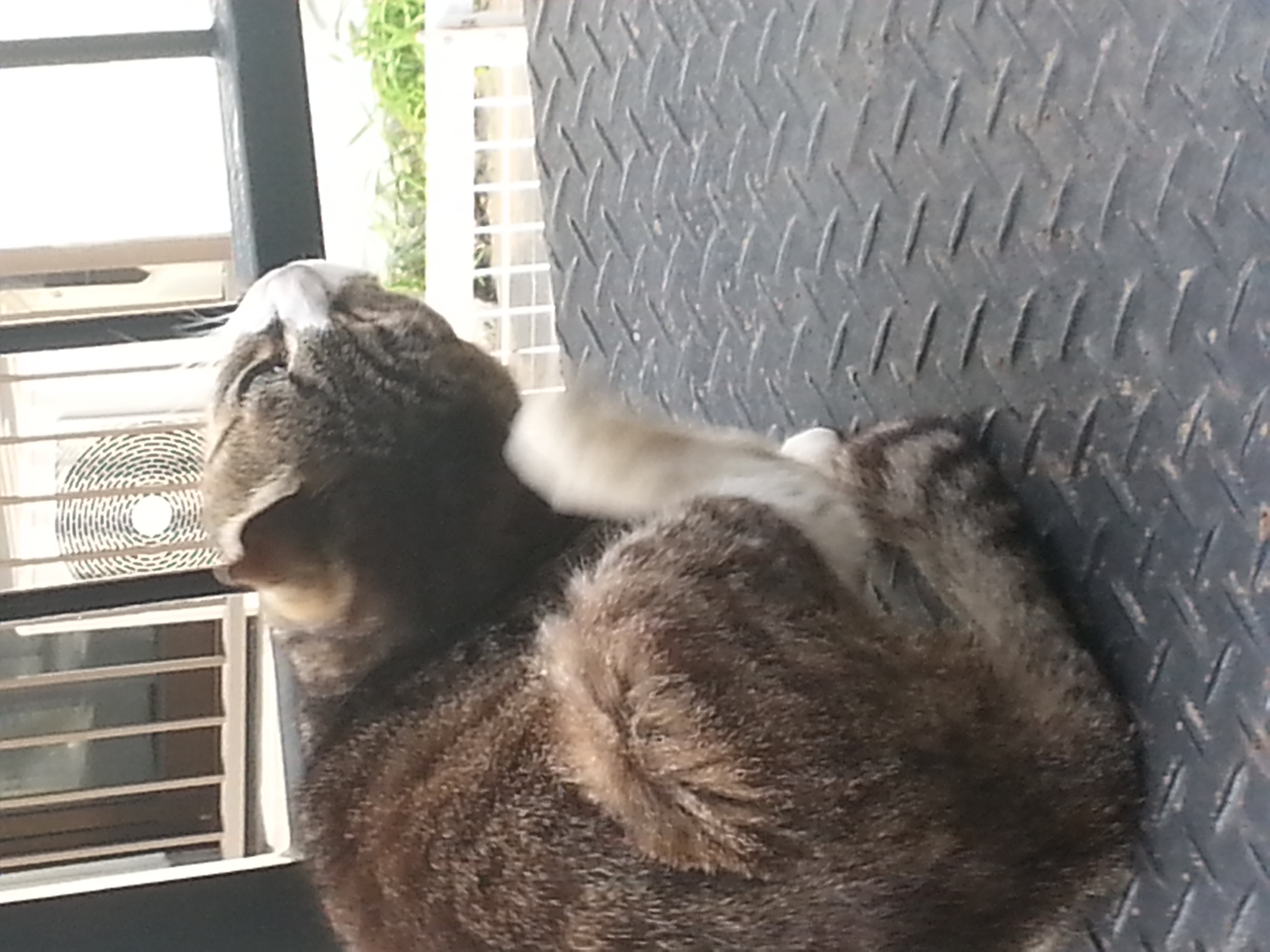 20160531_163210.jpg