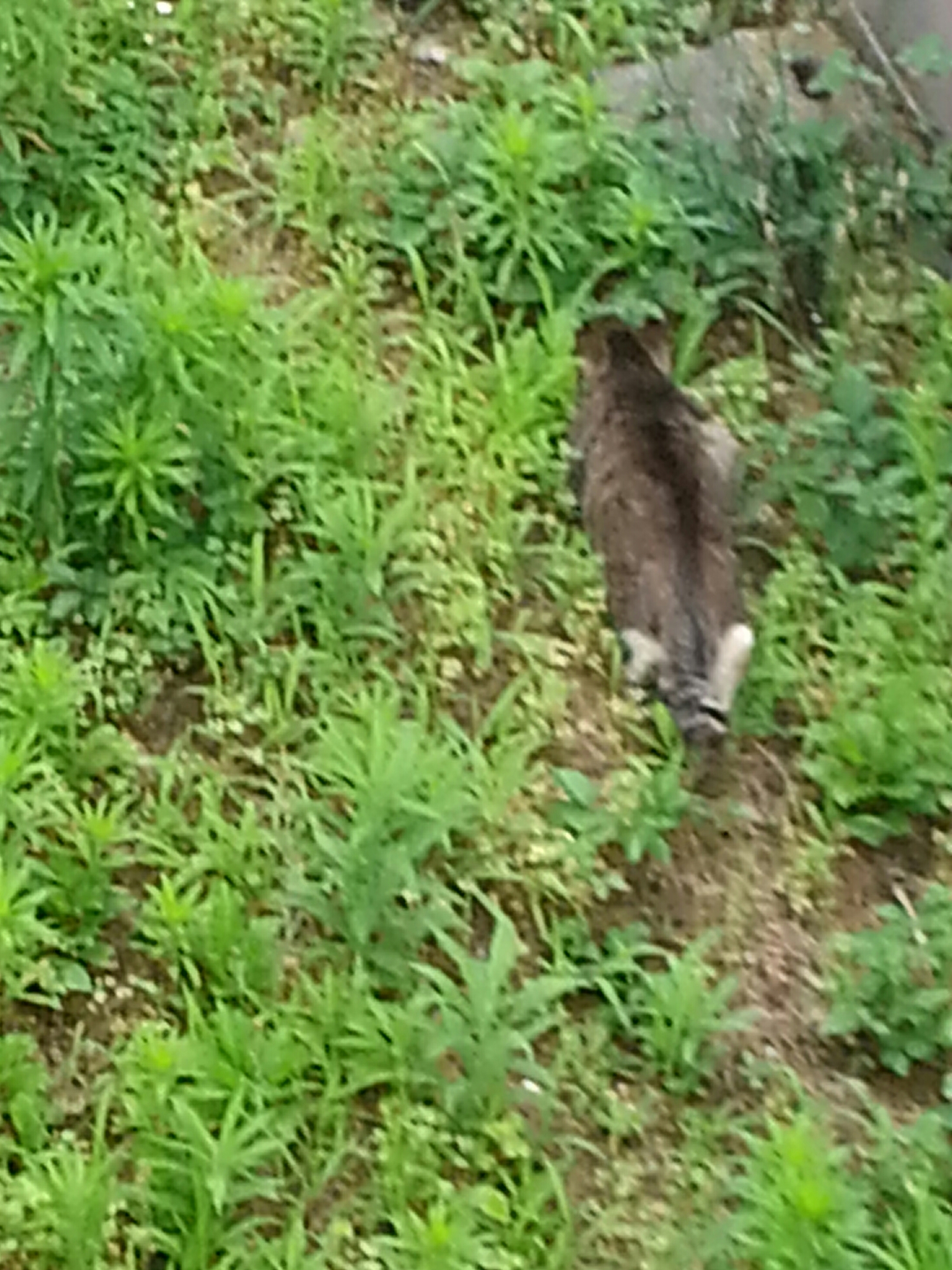 20160608_160332-2.jpg