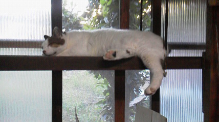 2016070618580000.jpg