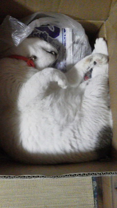 2016081622140000.jpg