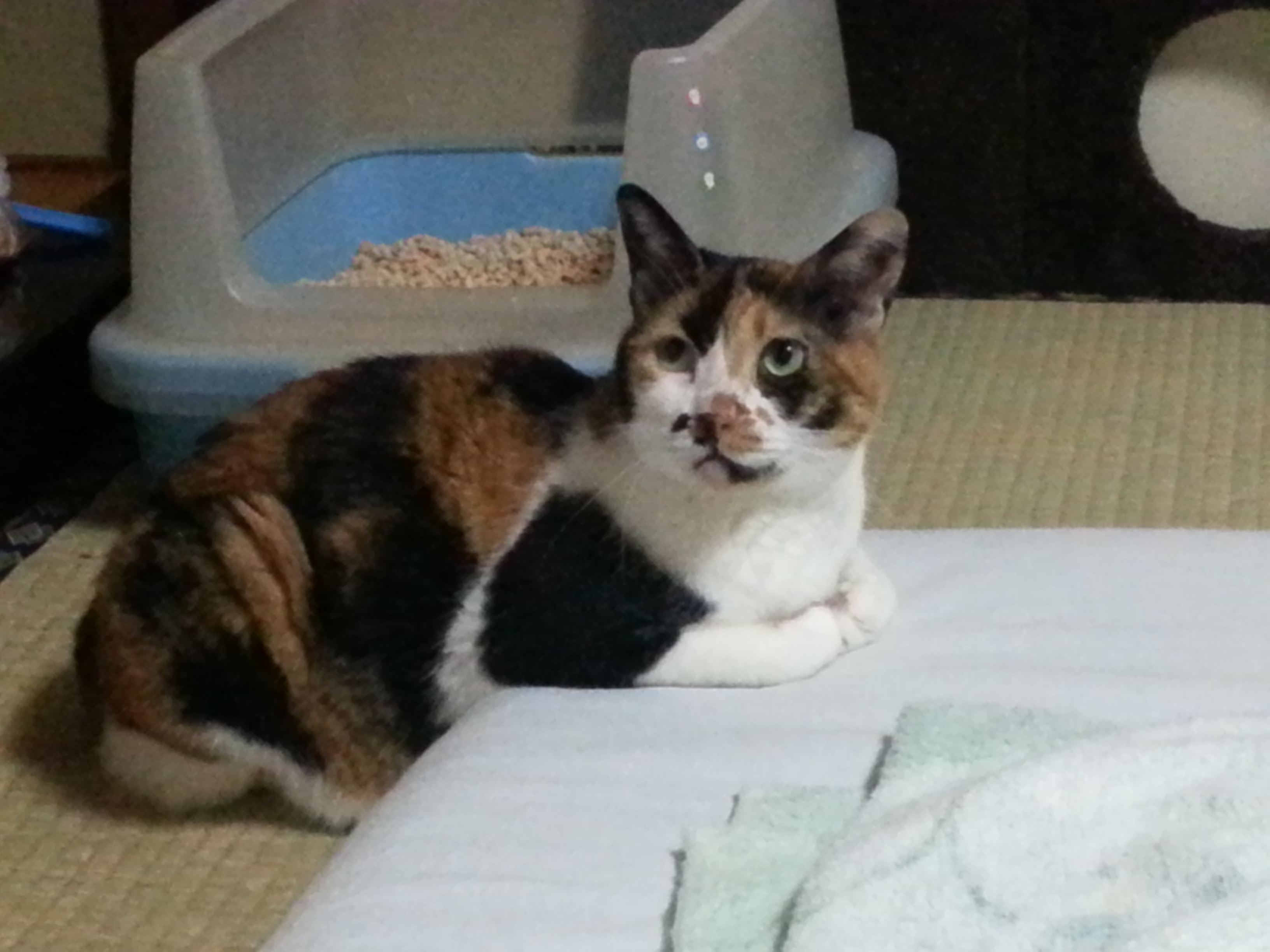 20160823_211732.jpg