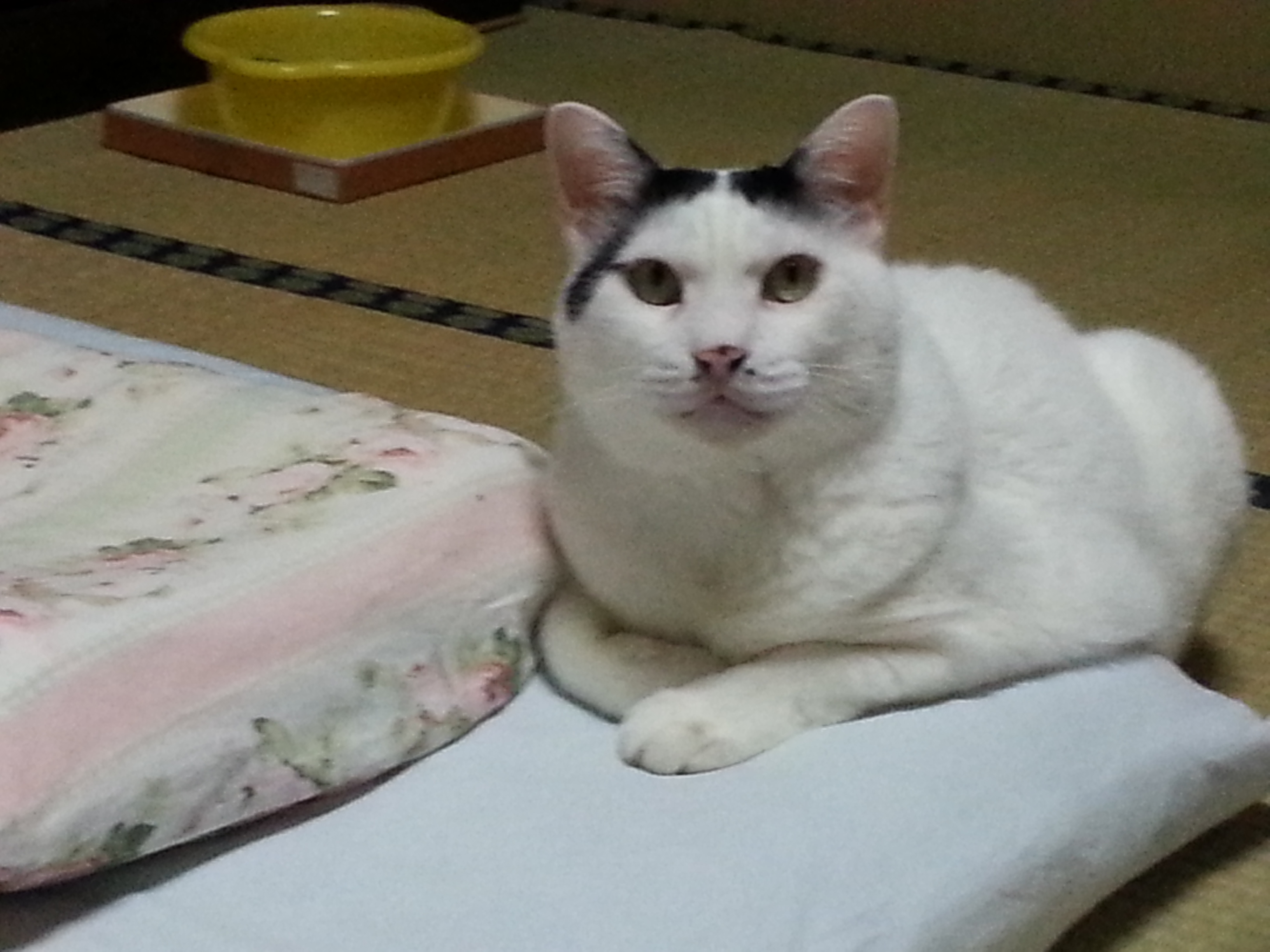 20160823_211739.jpg