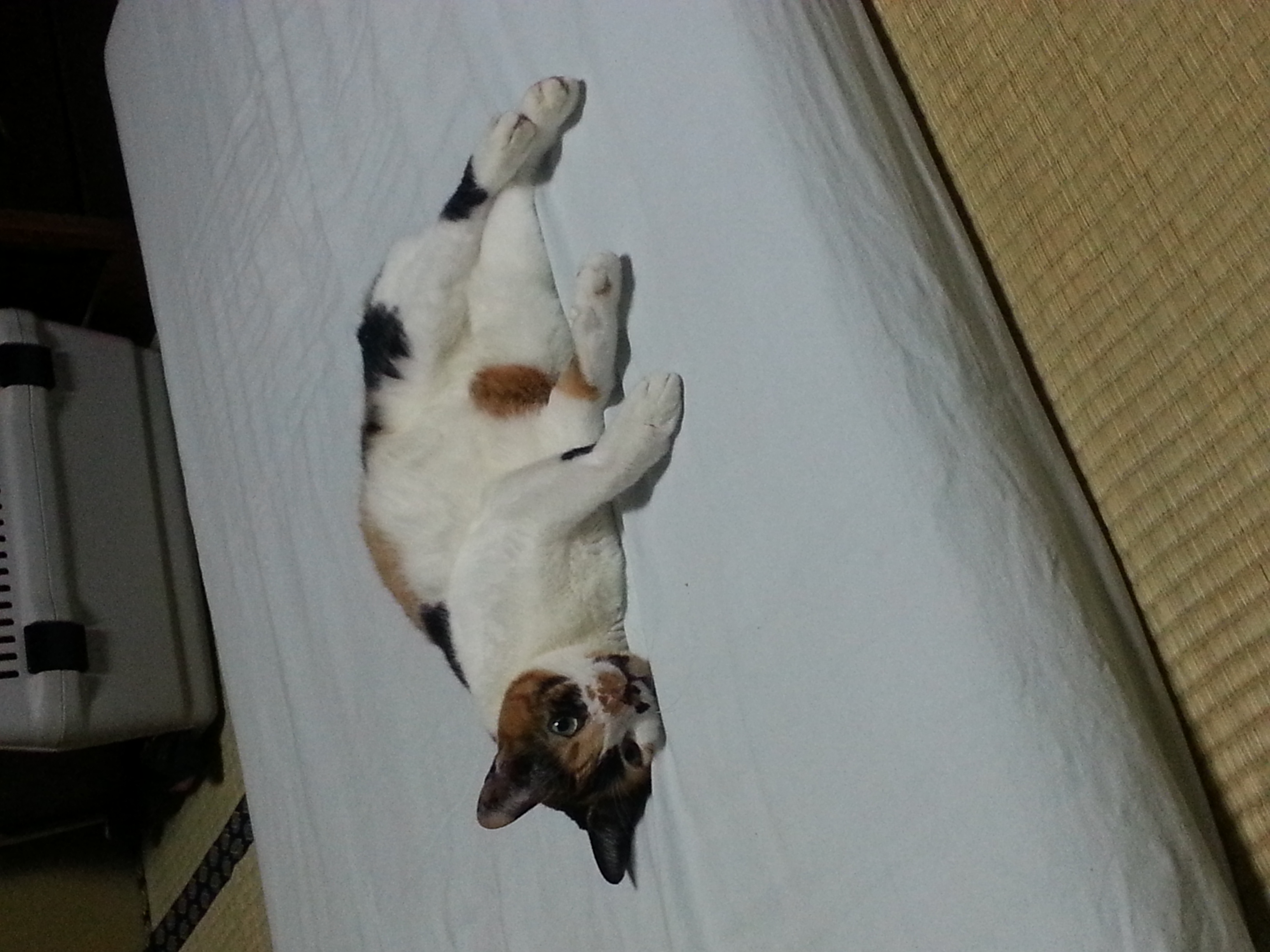 20160909_221335.jpg