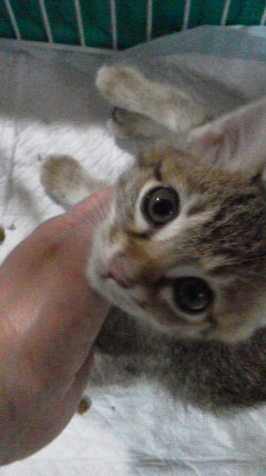 2016100519010000.jpg