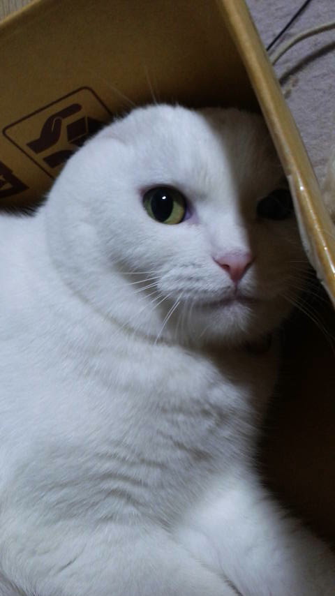 2016110519030000.jpg