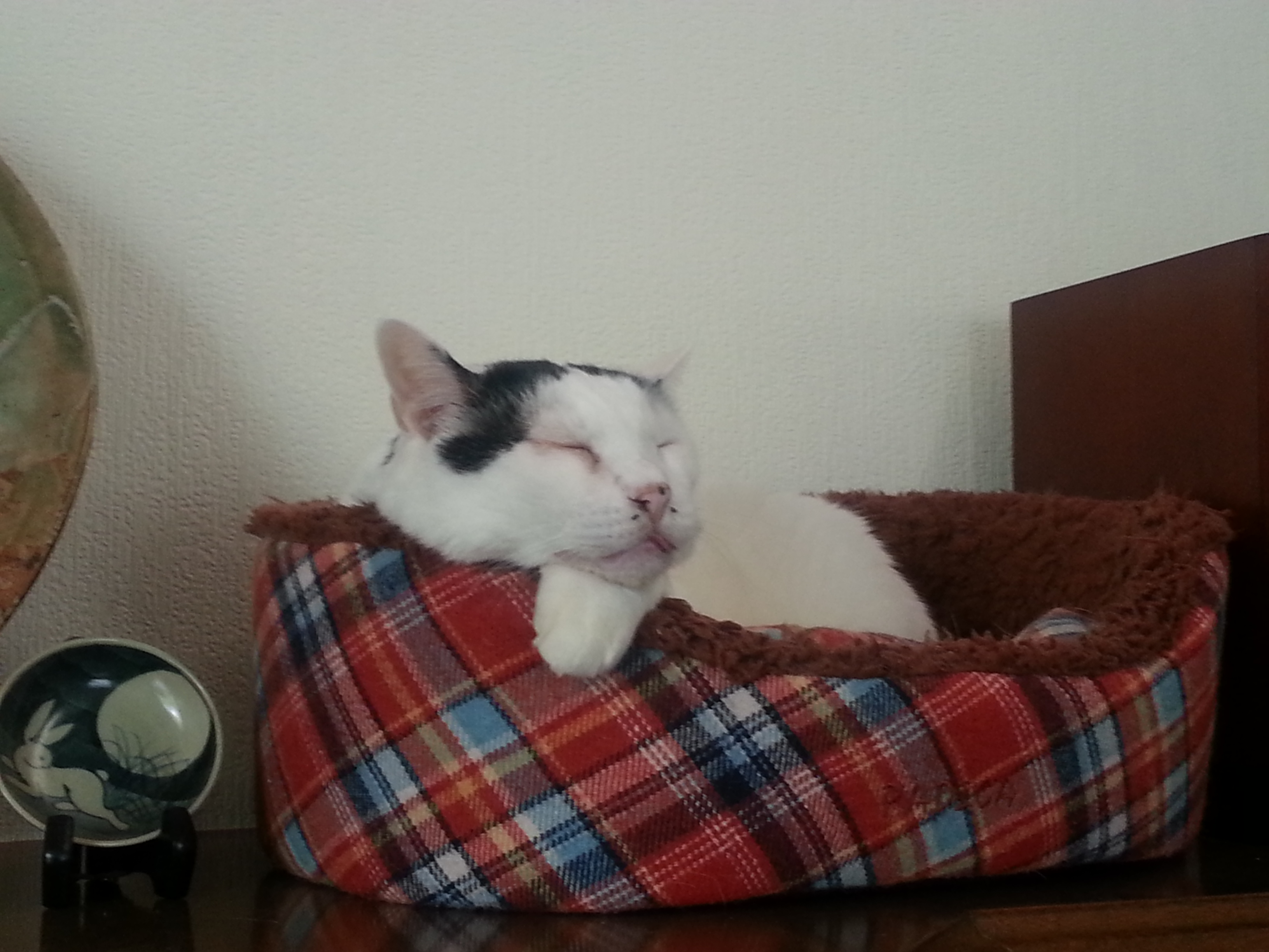 20161106_110226.jpg