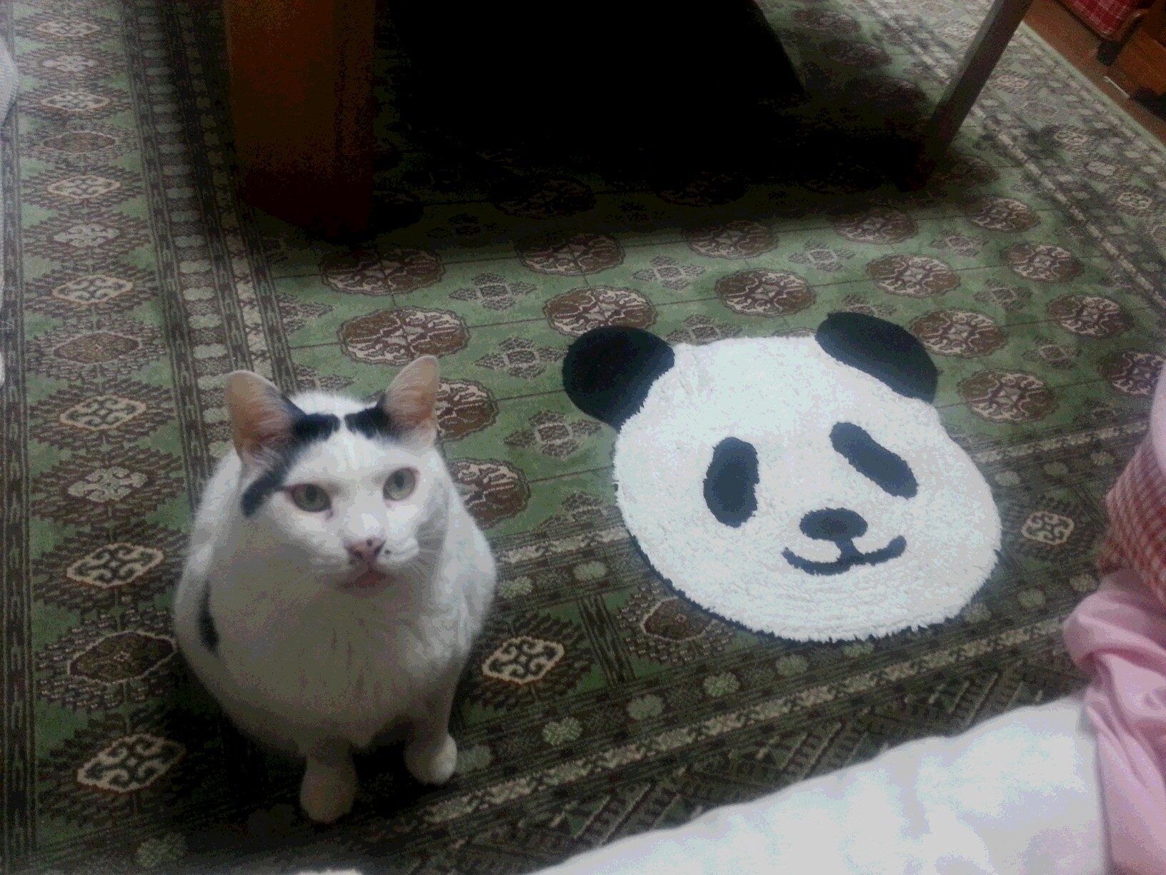 20161106_222954.jpg