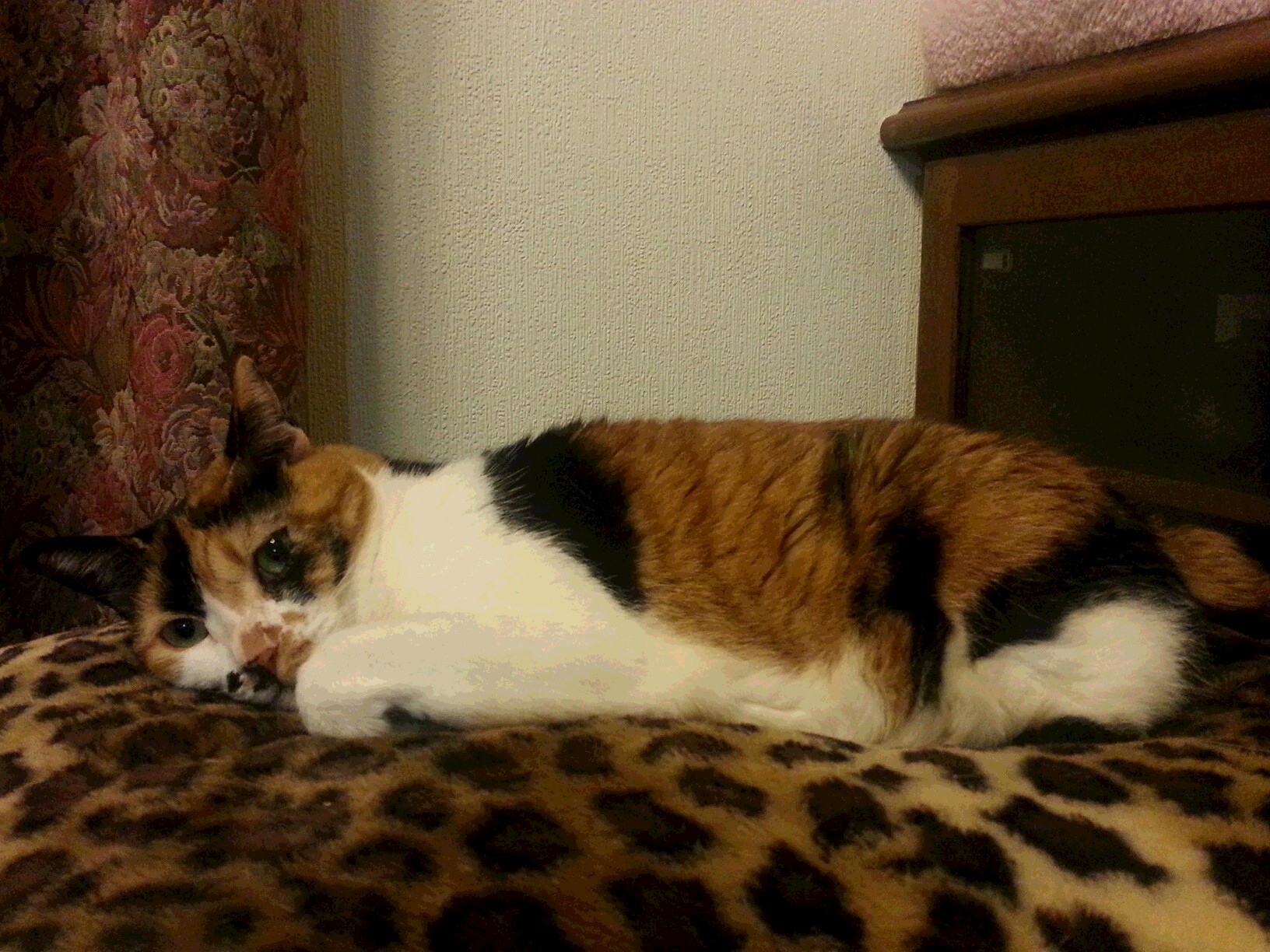 20161210_185655.jpg