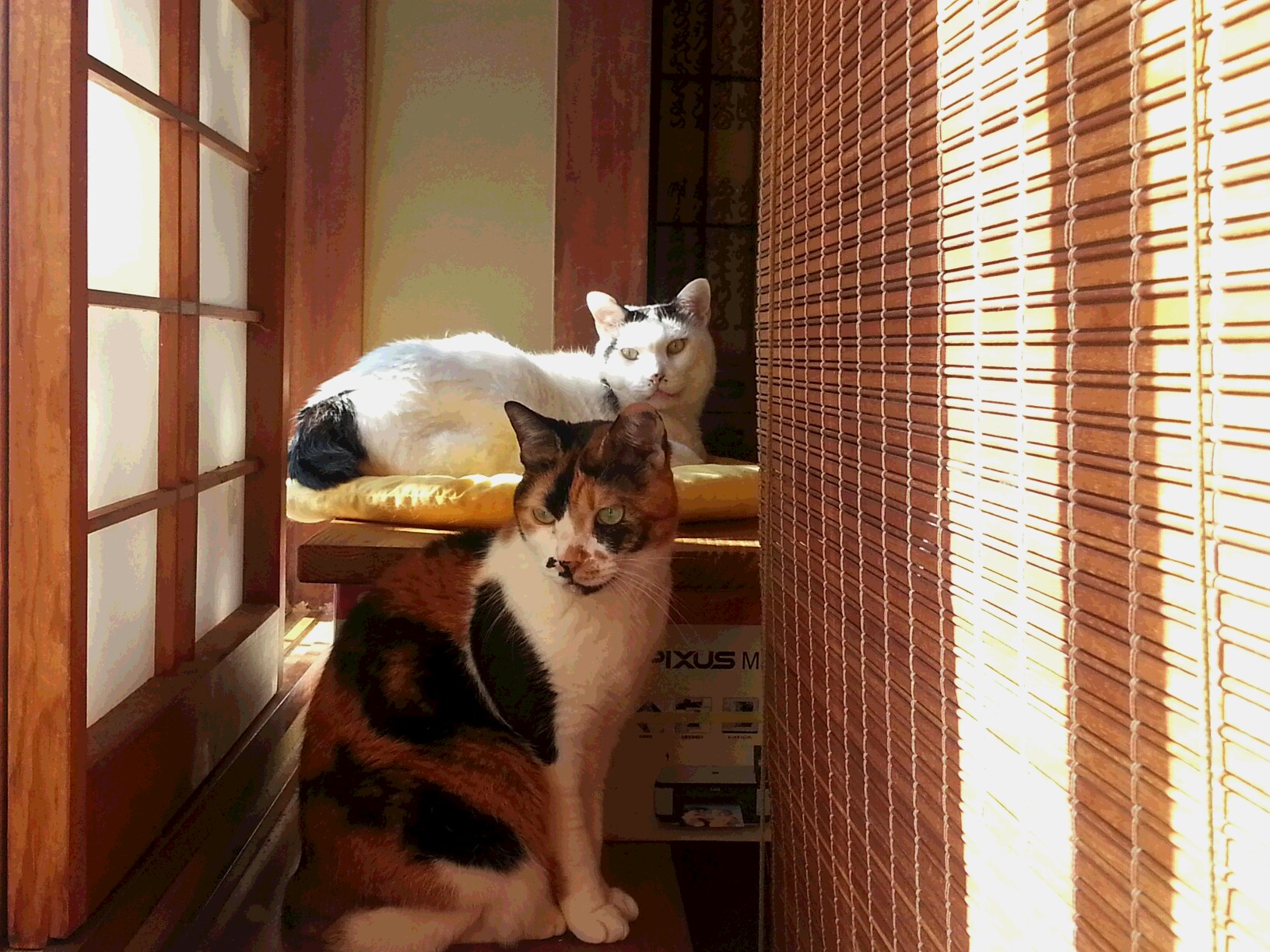 20161211_134716.jpg