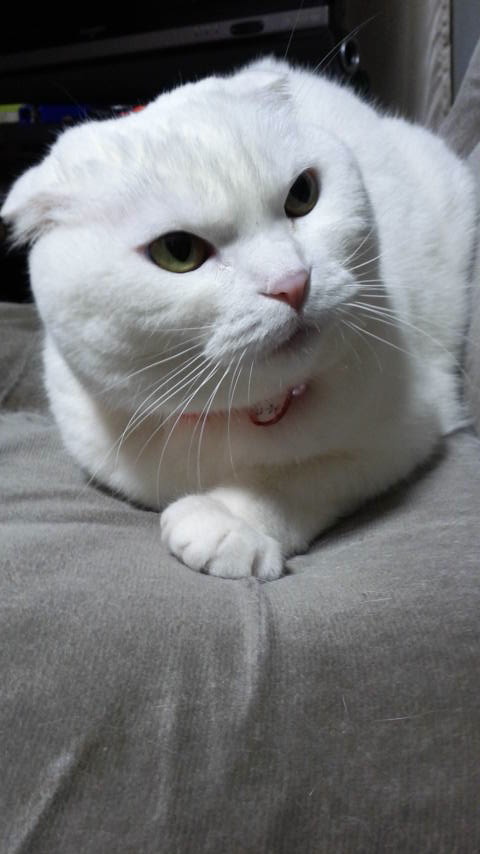 2017022023240000.jpg