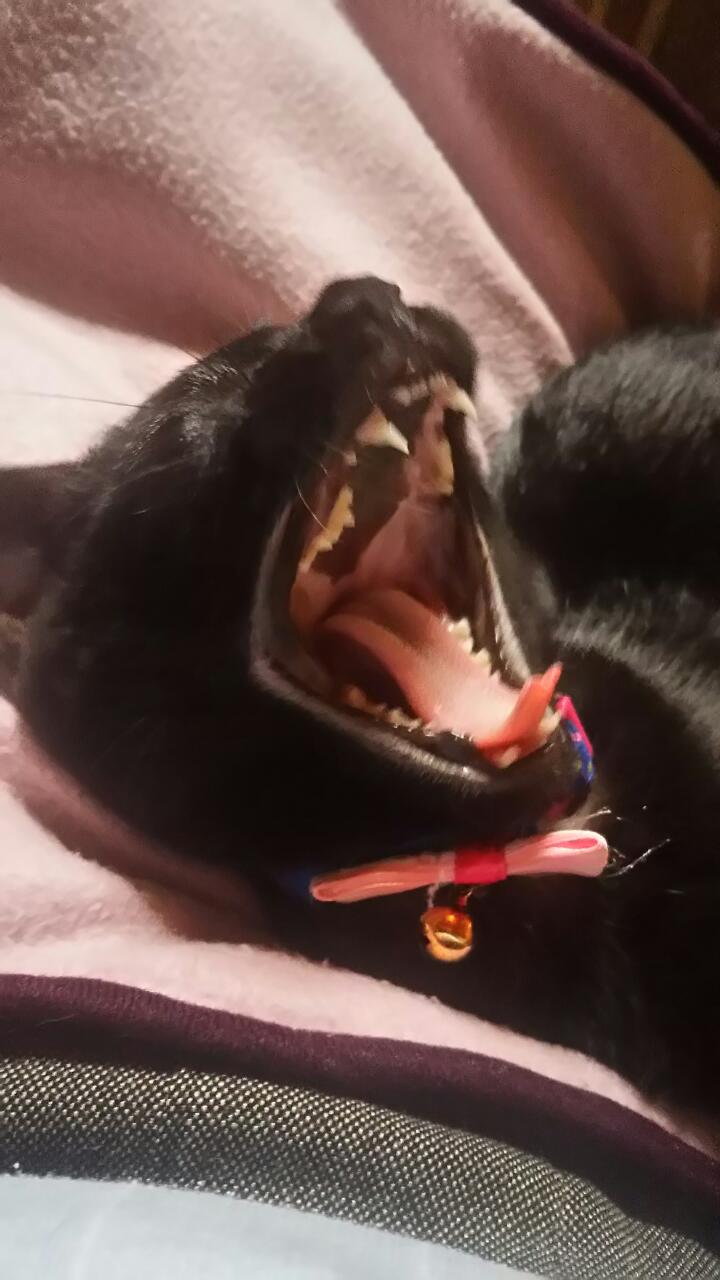 20170601_210319.jpg
