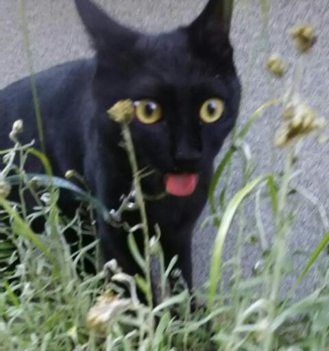 20170603_193708.jpg