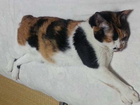 20170713_000415.jpg