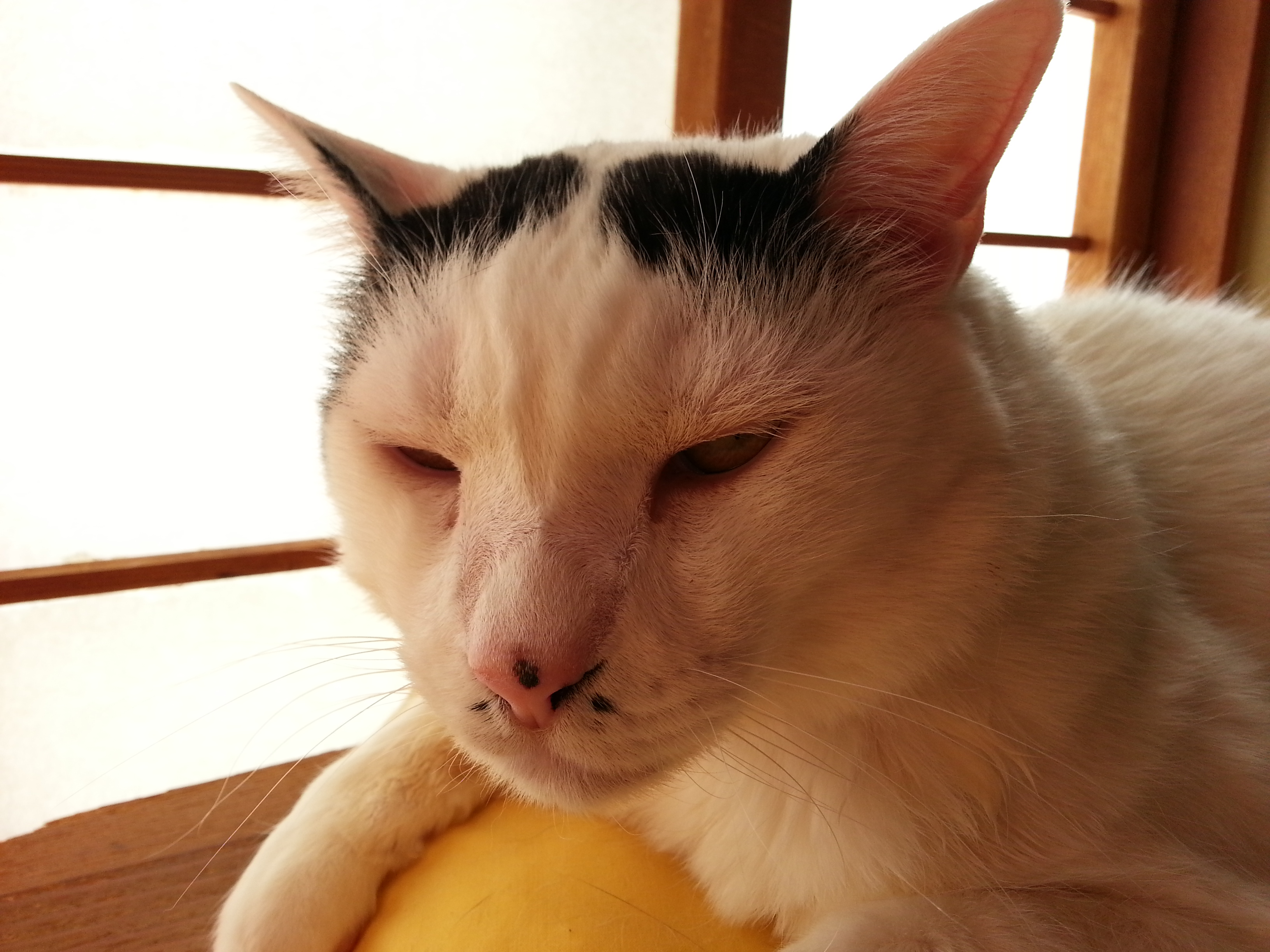 20180211_110217.jpg