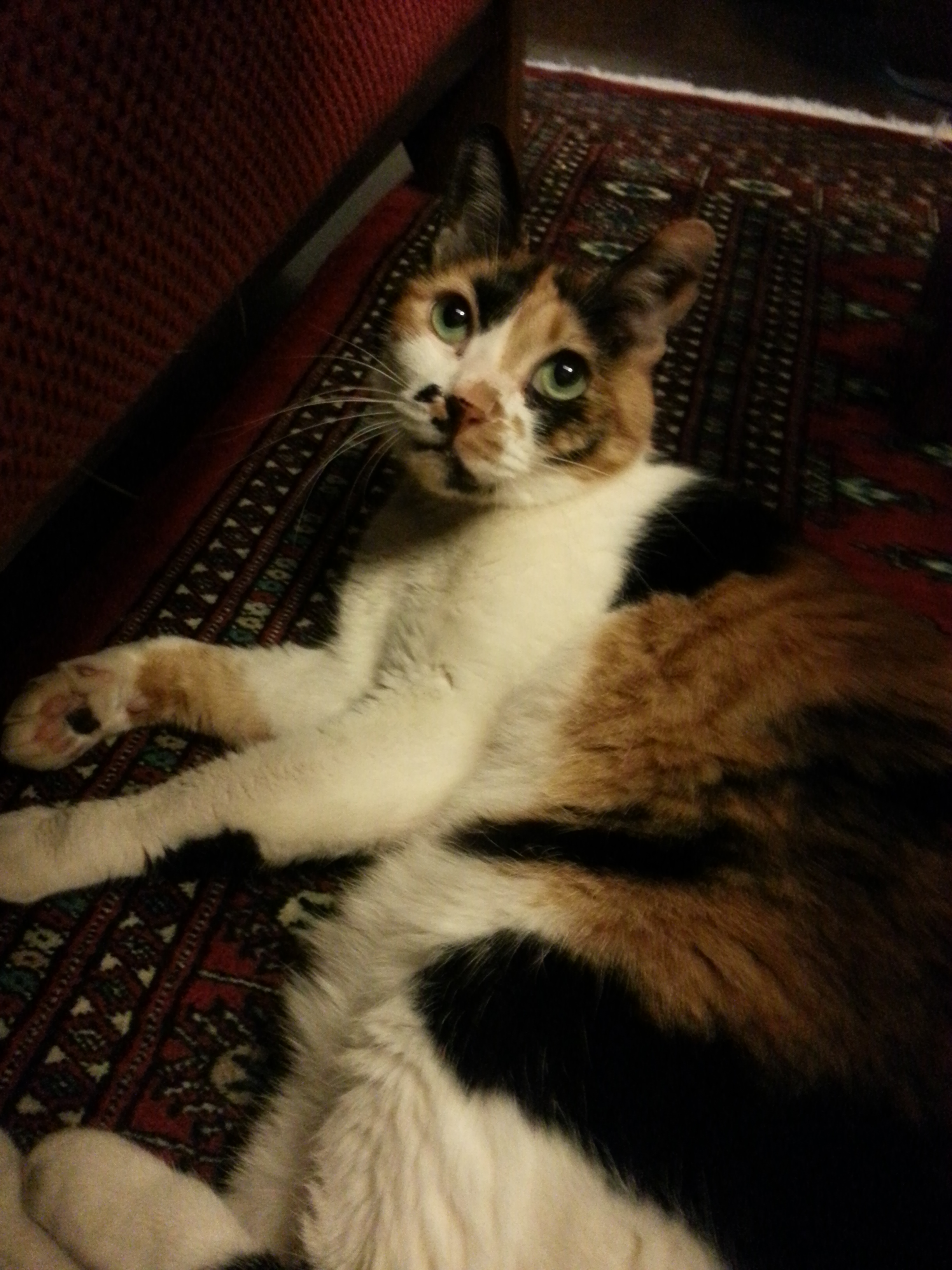 20180411_201057.jpg