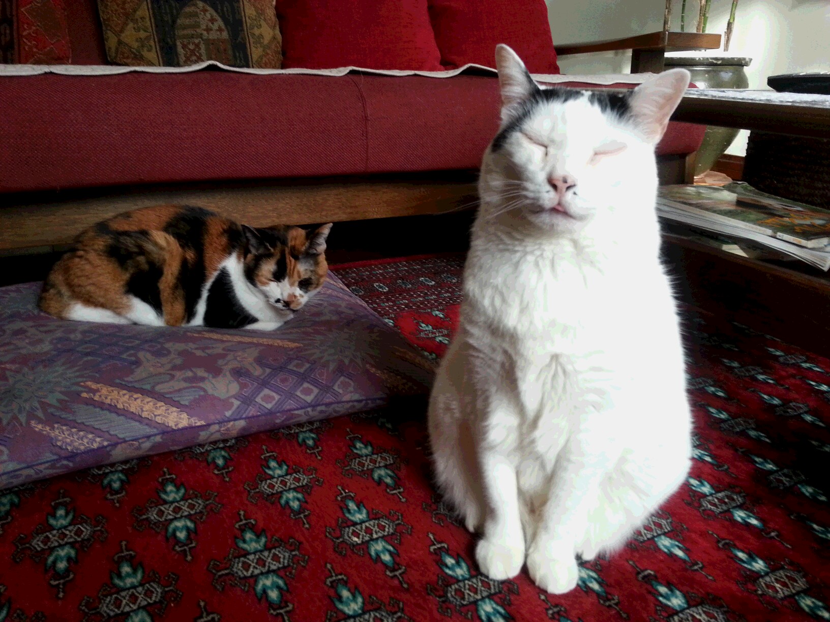 20181210_142128.jpg