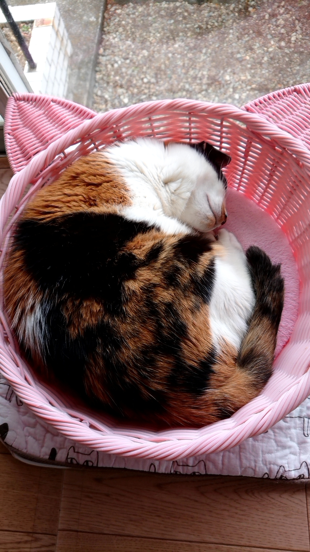 20190516_072202779.jpg