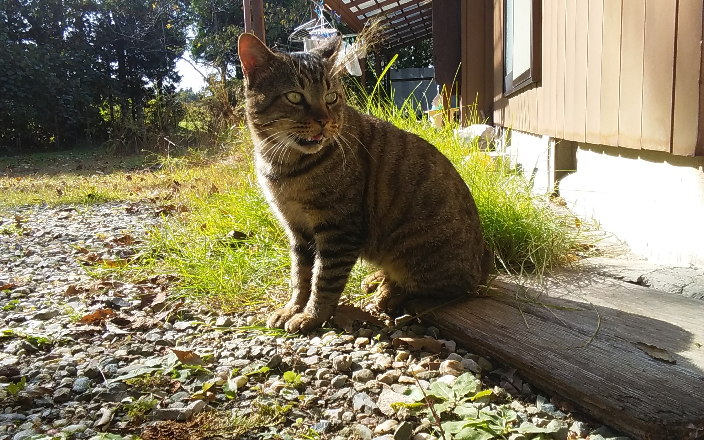 20191031_125102.jpg