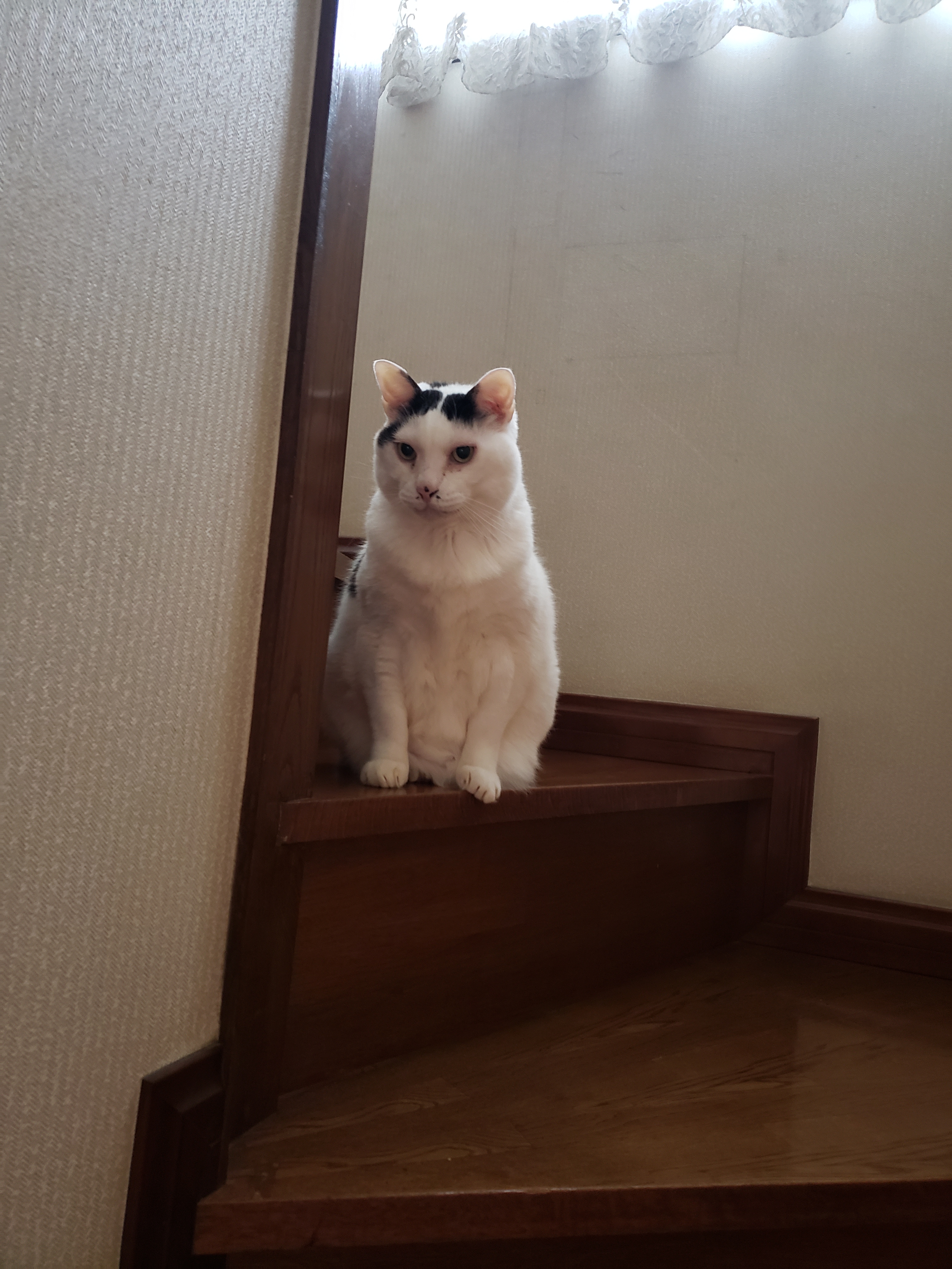 20191225_092726.jpg