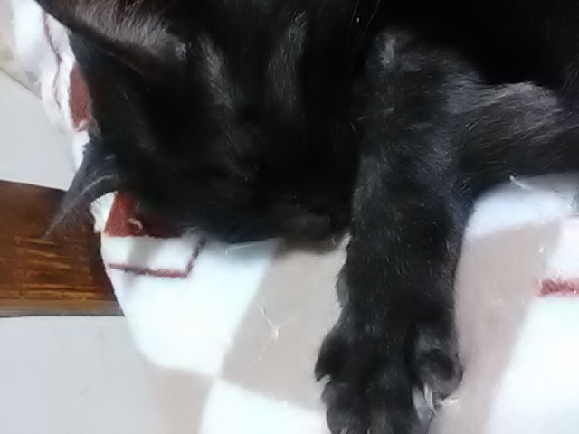 20200401235345.jpg