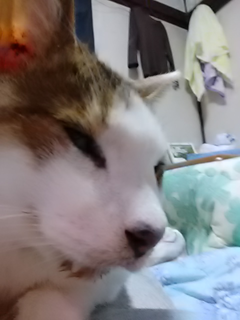 20200525233126.jpg