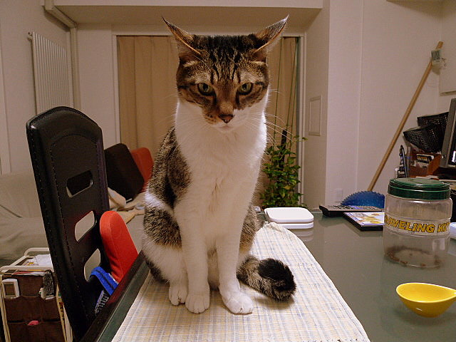 20200610_kuro.jpg
