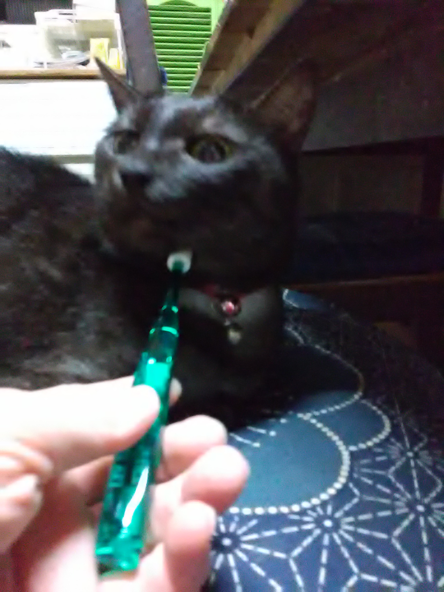 20200929200359.jpg