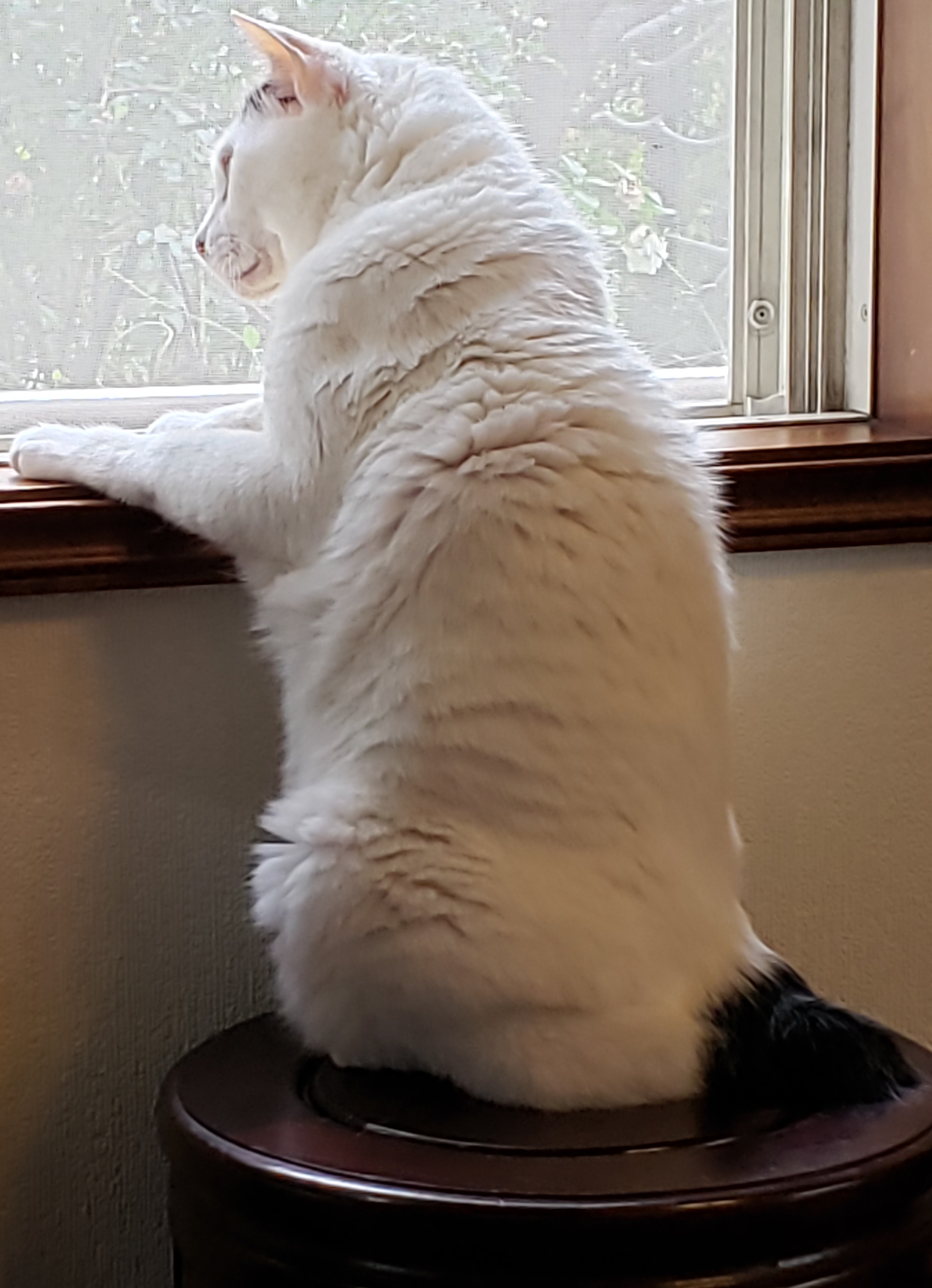 20201107_091423.jpg