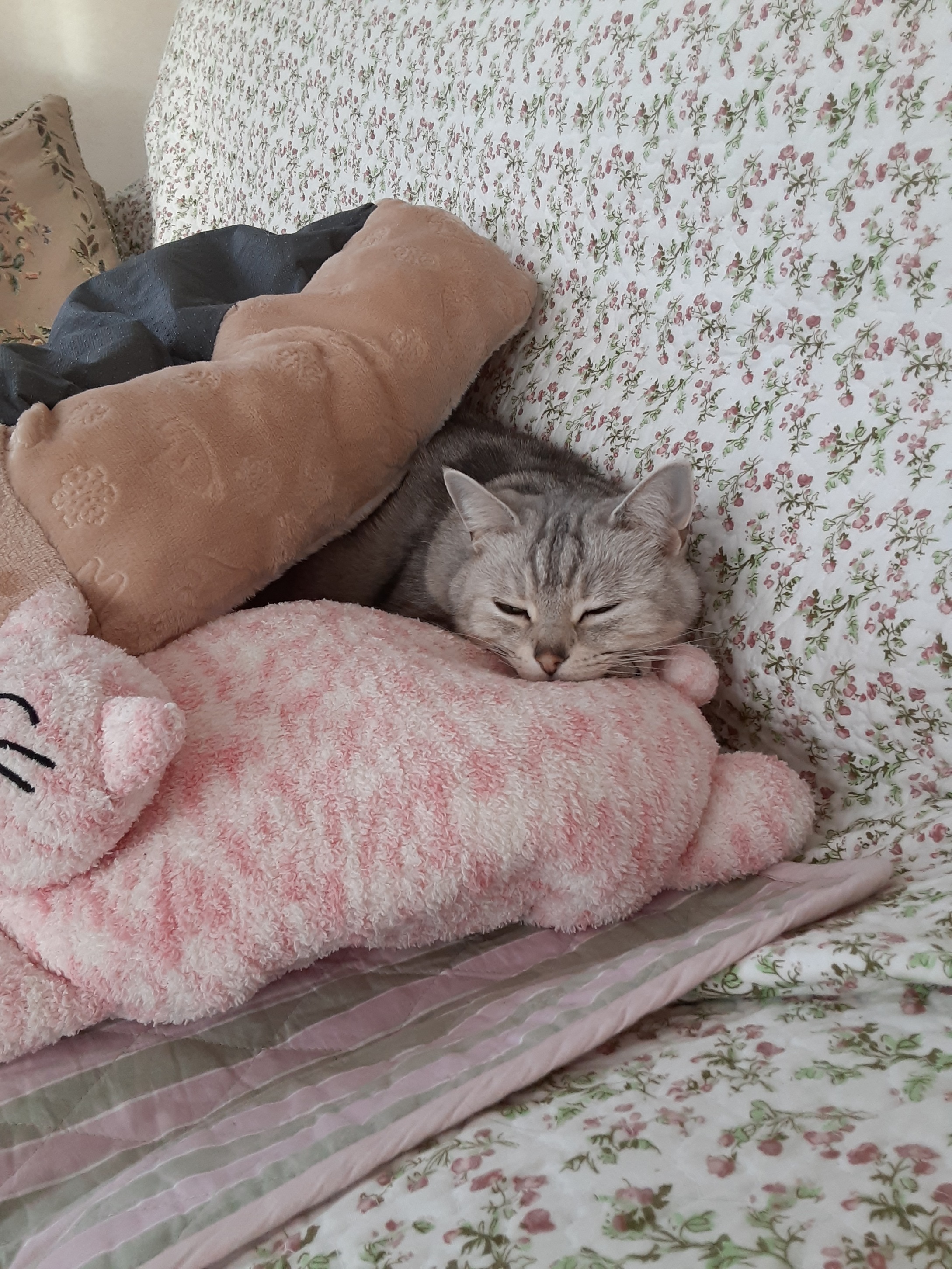 20201219_082651.jpg