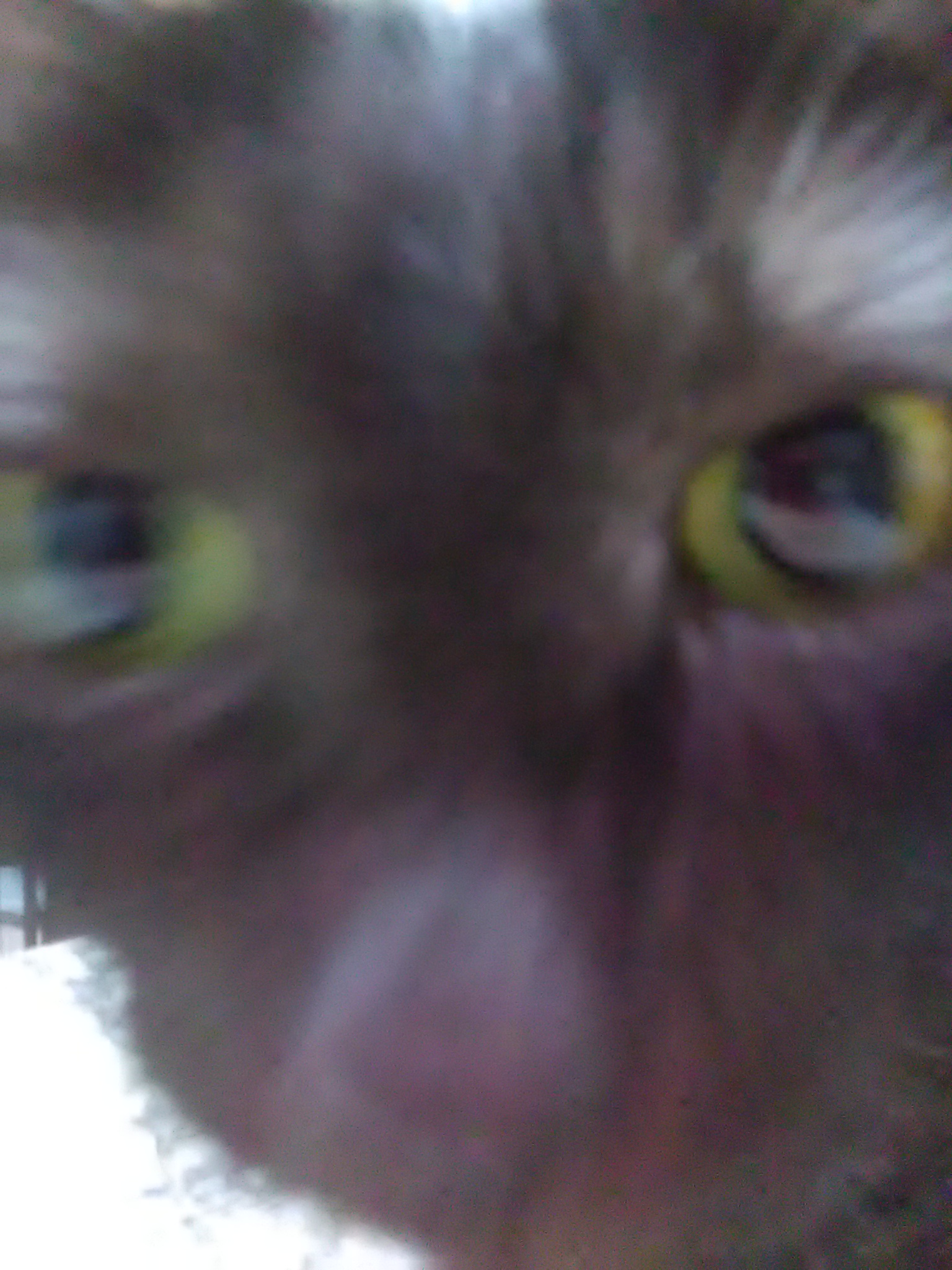 20210508205830.jpg