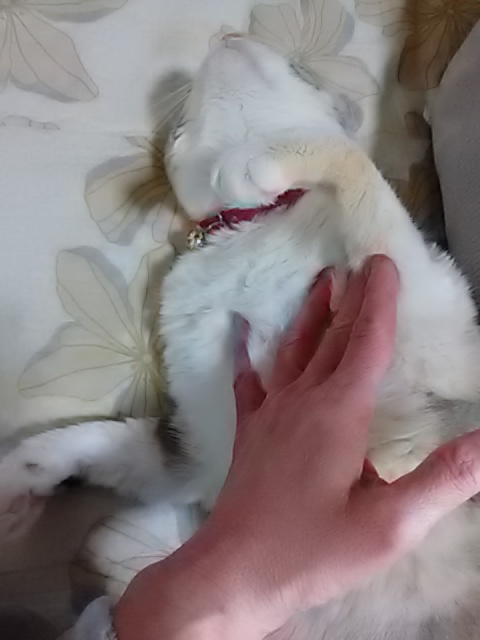 20220130134050.jpg