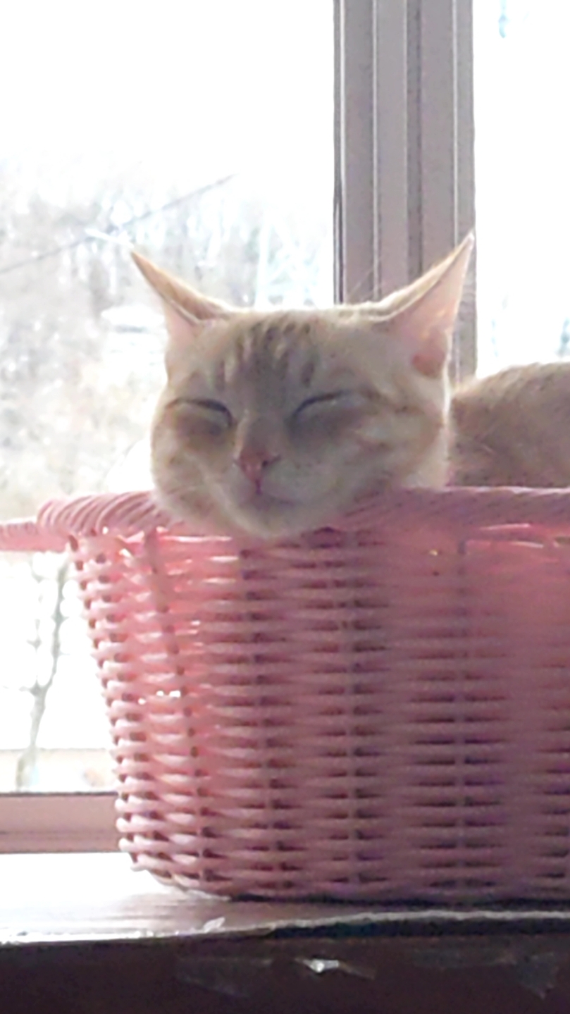 20220220_071545706.jpg