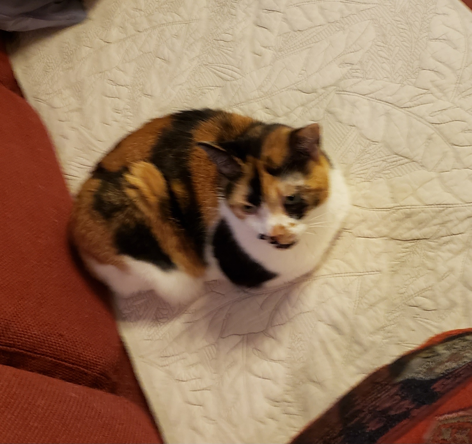 20230226_193239.jpg