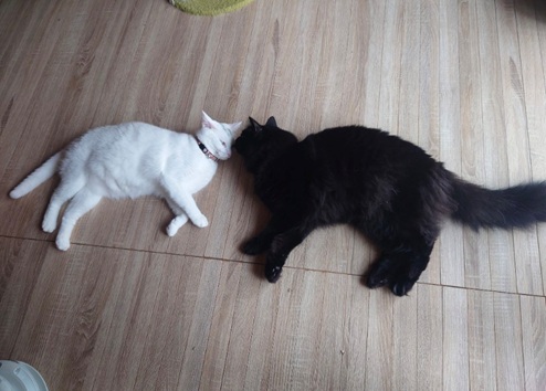 2025-12-28 113547.jpg